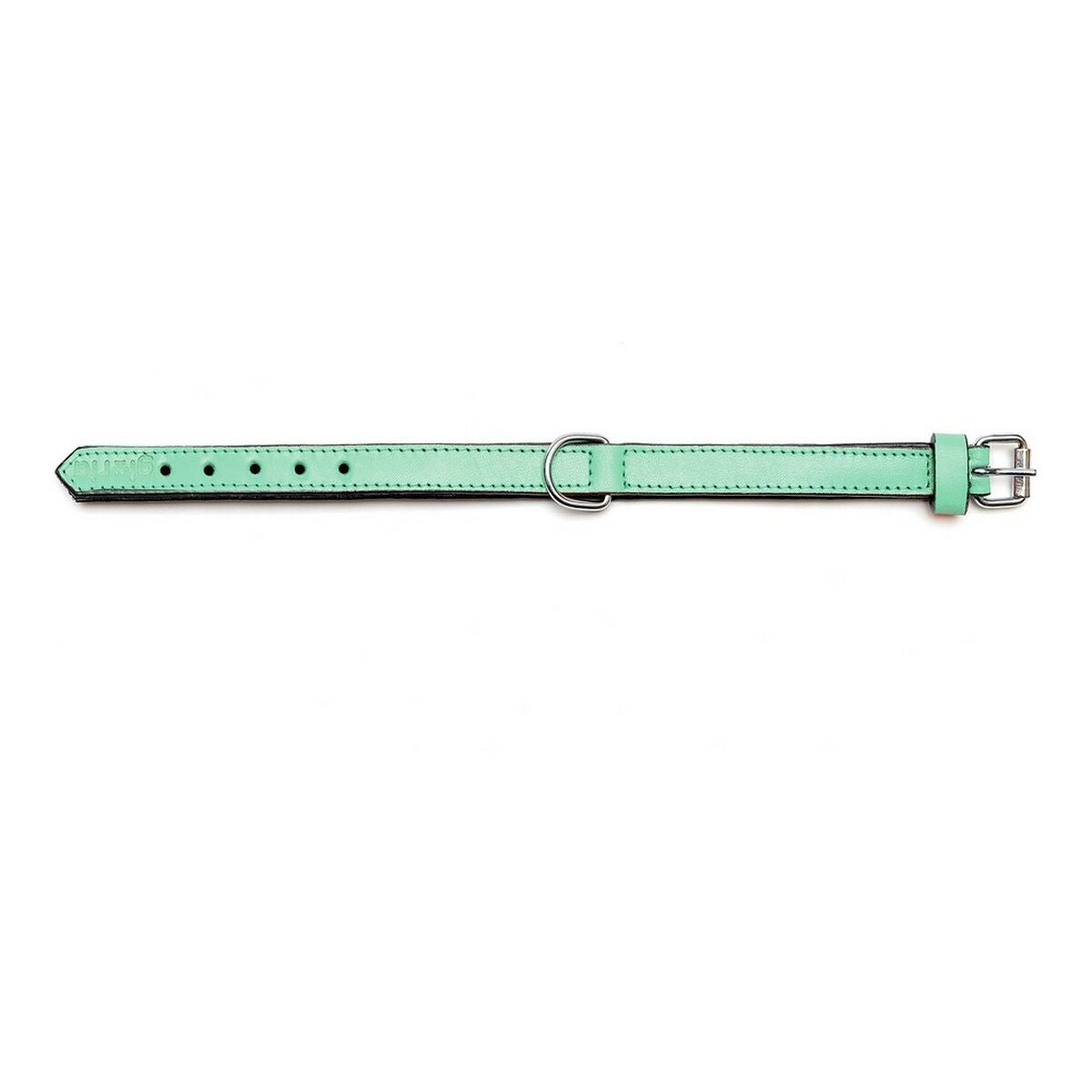 Dog collar Gloria Padded Green (55 x 2,5 cm)