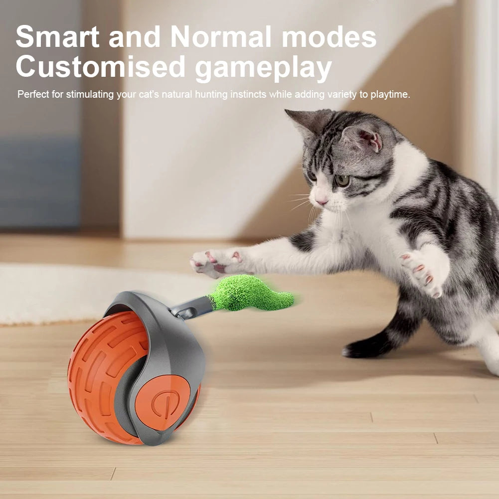 Cat Interactive Ball Toy, Automatic Rolling Ball with Tail, Rechargeable Smart Pet Interactive Toy, Intelligent Cat Toys Pet Sup