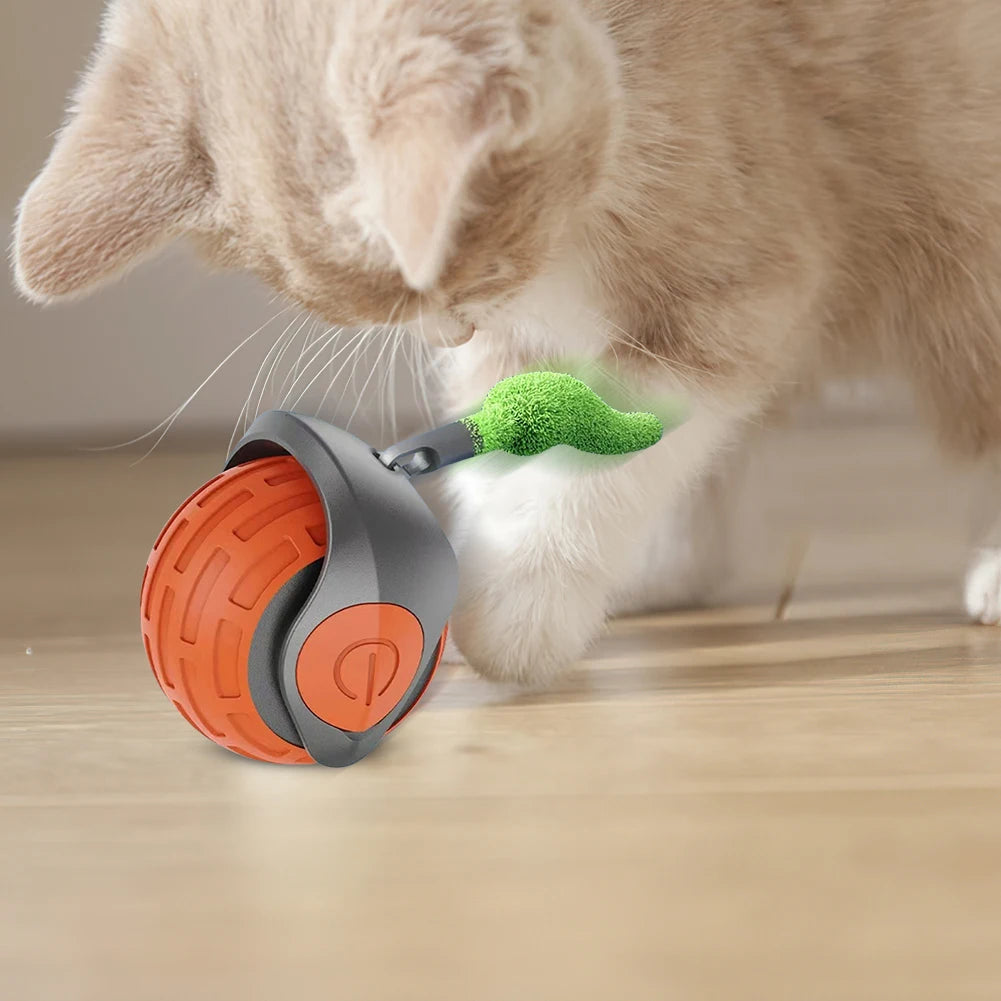 Cat Interactive Ball Toy, Automatic Rolling Ball with Tail, Rechargeable Smart Pet Interactive Toy, Intelligent Cat Toys Pet Sup