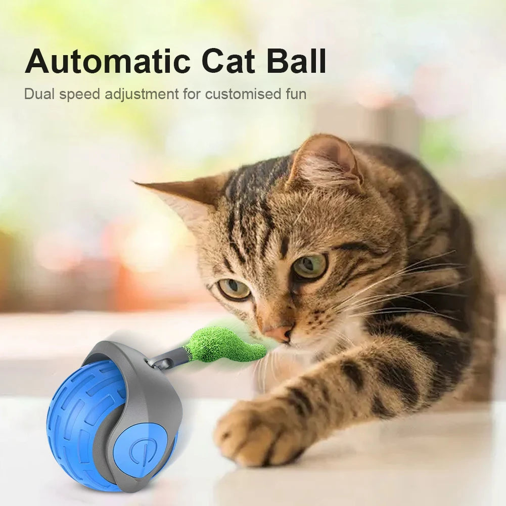 Cat Interactive Ball Toy, Automatic Rolling Ball with Tail, Rechargeable Smart Pet Interactive Toy, Intelligent Cat Toys Pet Sup